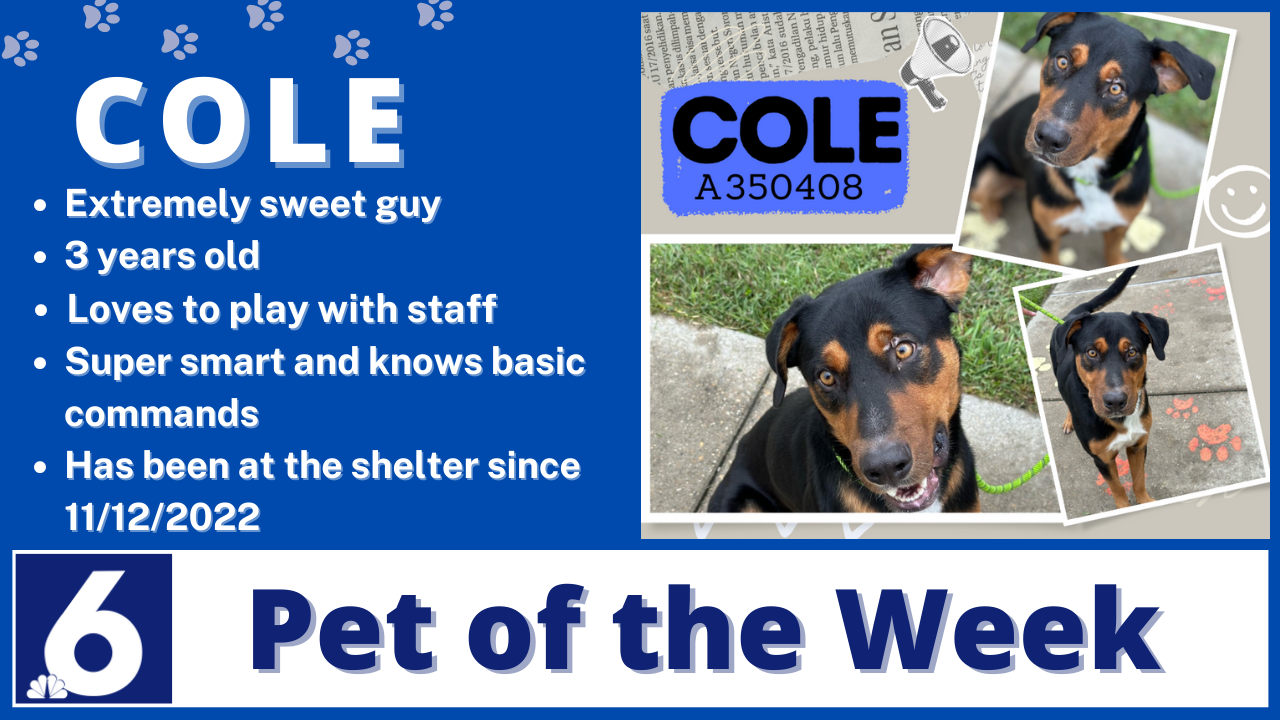 Pet Of The Week: Cole