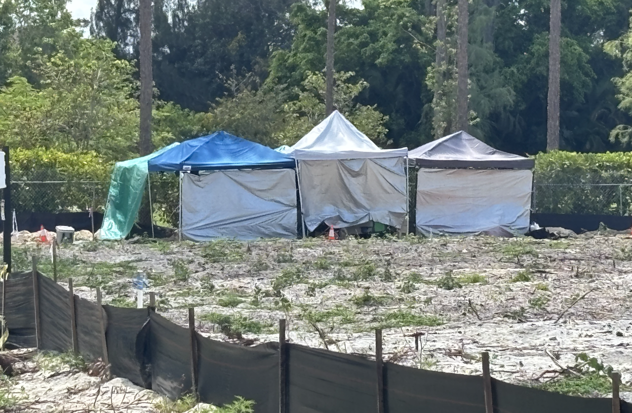 Collier County Human Bones Found