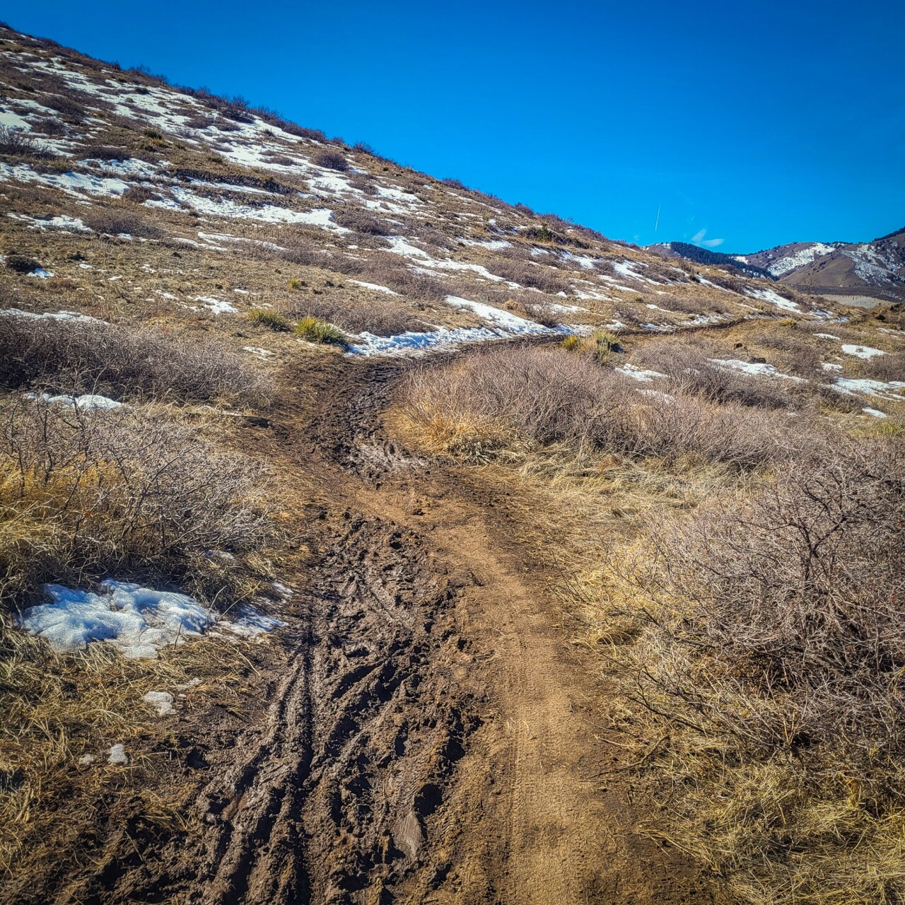 North Table Mountain mud May 2023