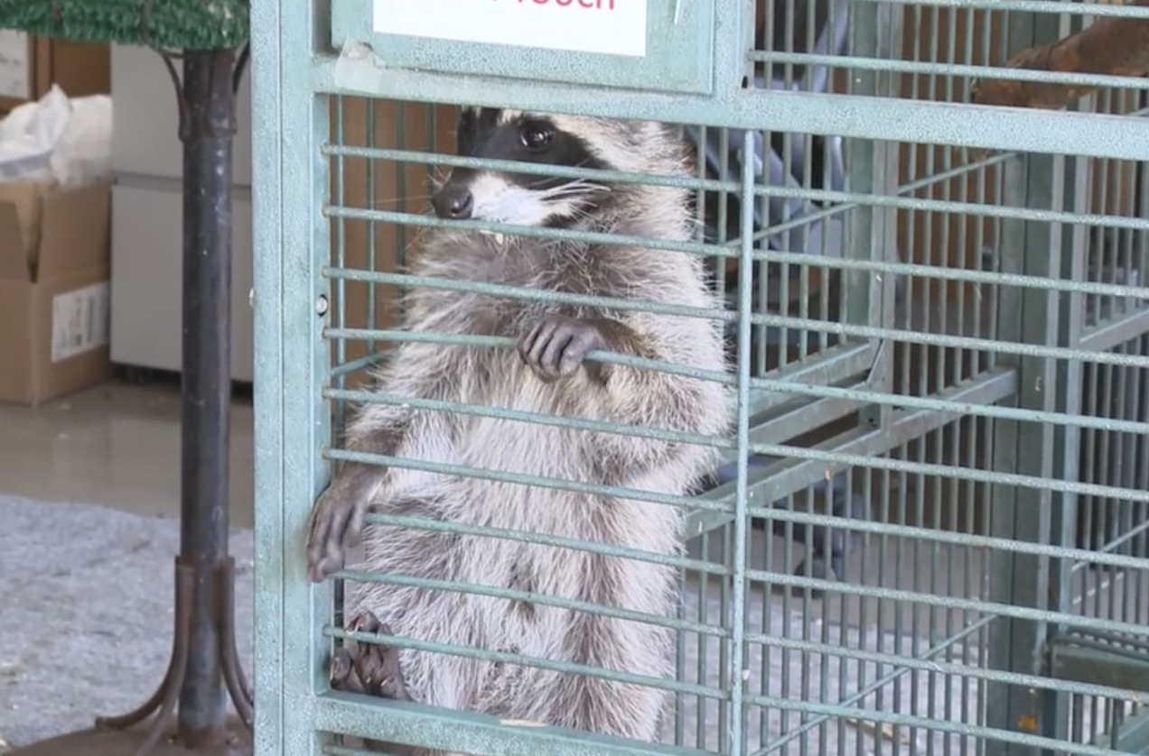 Screenshot 2025-08-18 at 5.06.12 AM.png