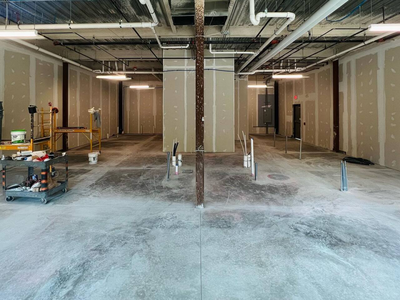 dataste larkin 2.jpg