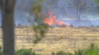 Magna Brush Fire Flames
