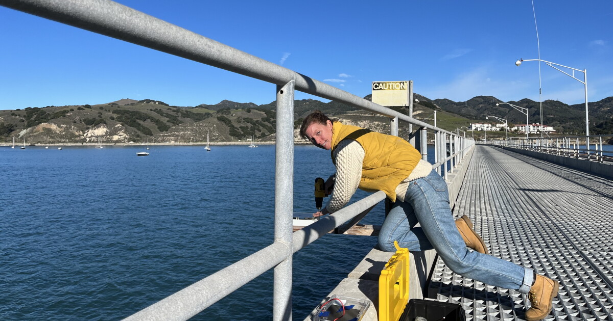 Have a camera? How you can help Cal Poly researchers study sea level rise - Vimarsana News