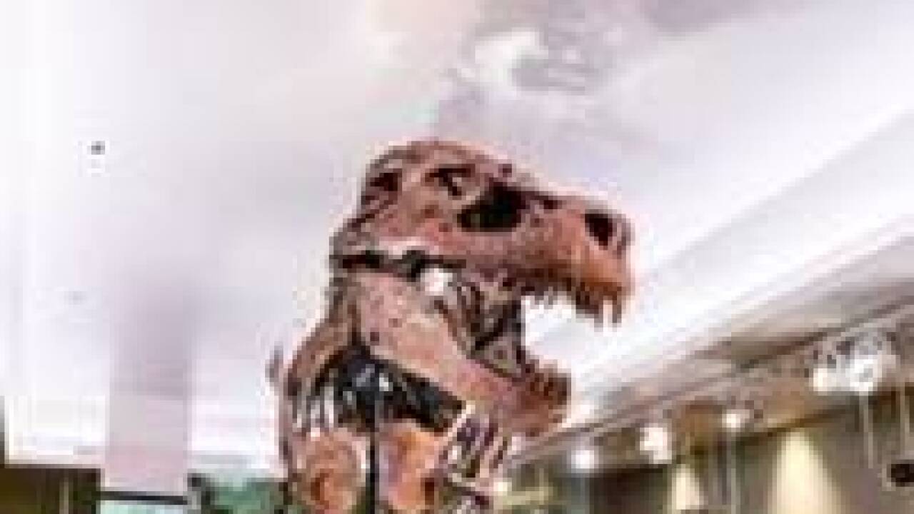 bucky the t rex