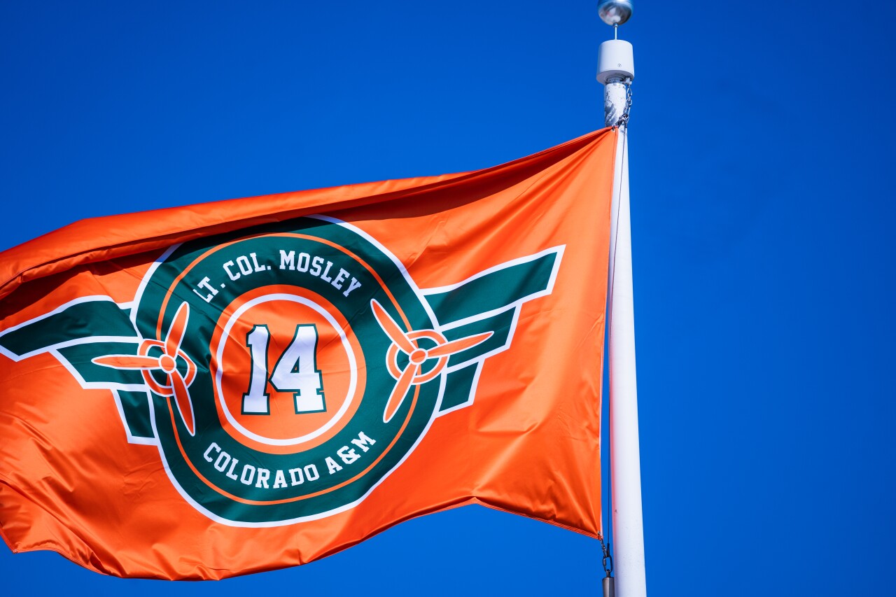 MOSLEY FLAG FLYING.jpg