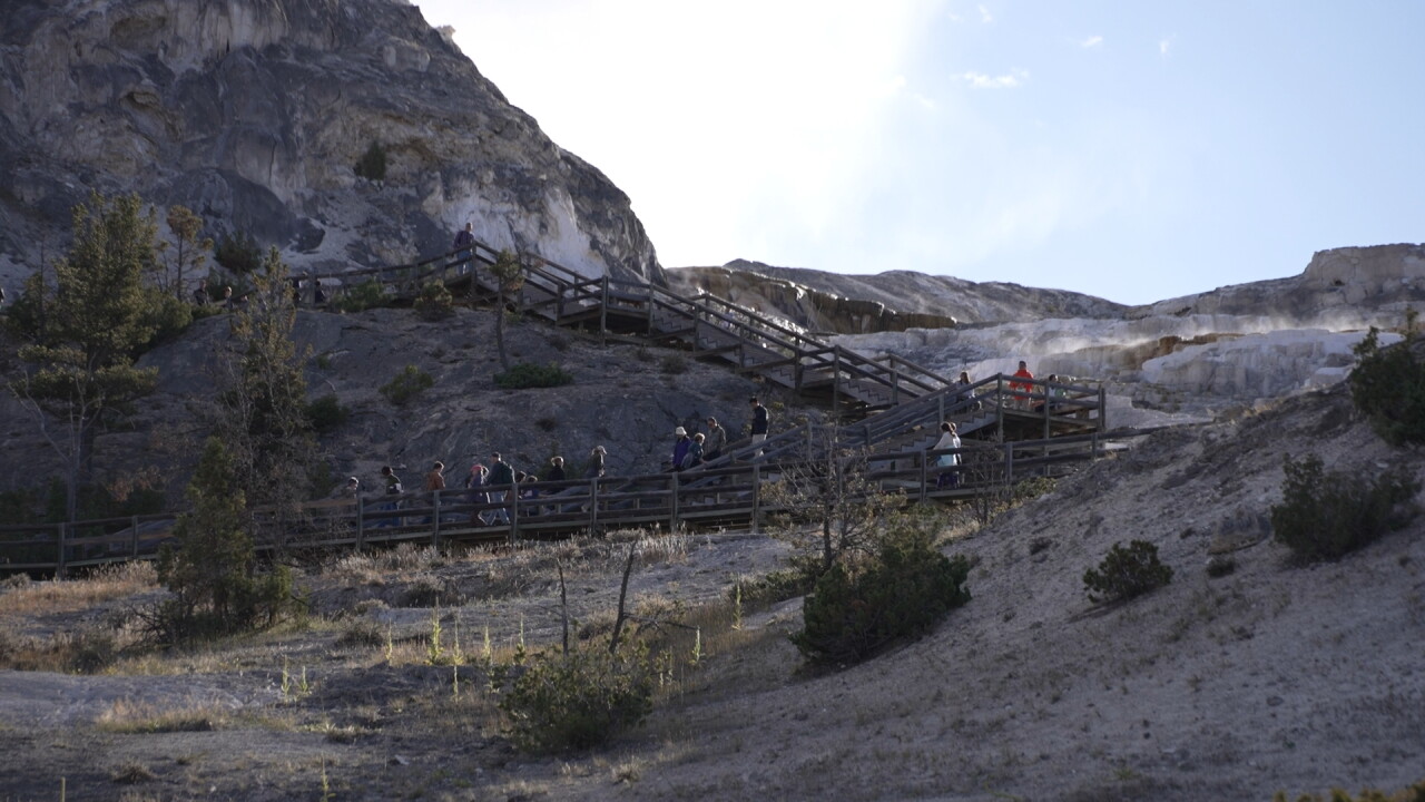 yellowstone1_2.2.1.jpg