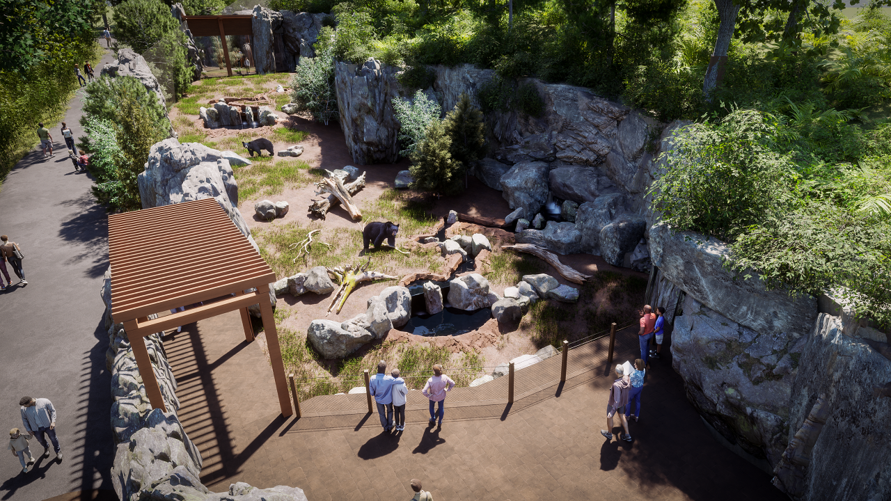 Cincinnati zoo new black bear exhibit