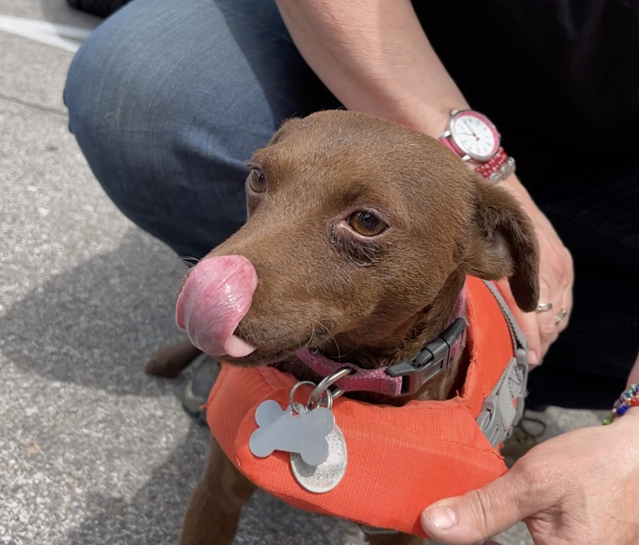 Screen Shot 2024-04-18 at 6.07.17 PM.png