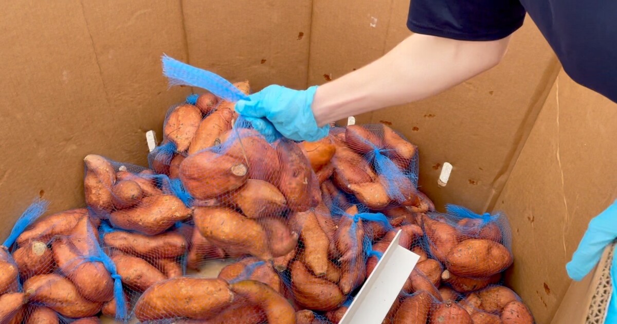 Local volunteers help to feed those in Central Texas