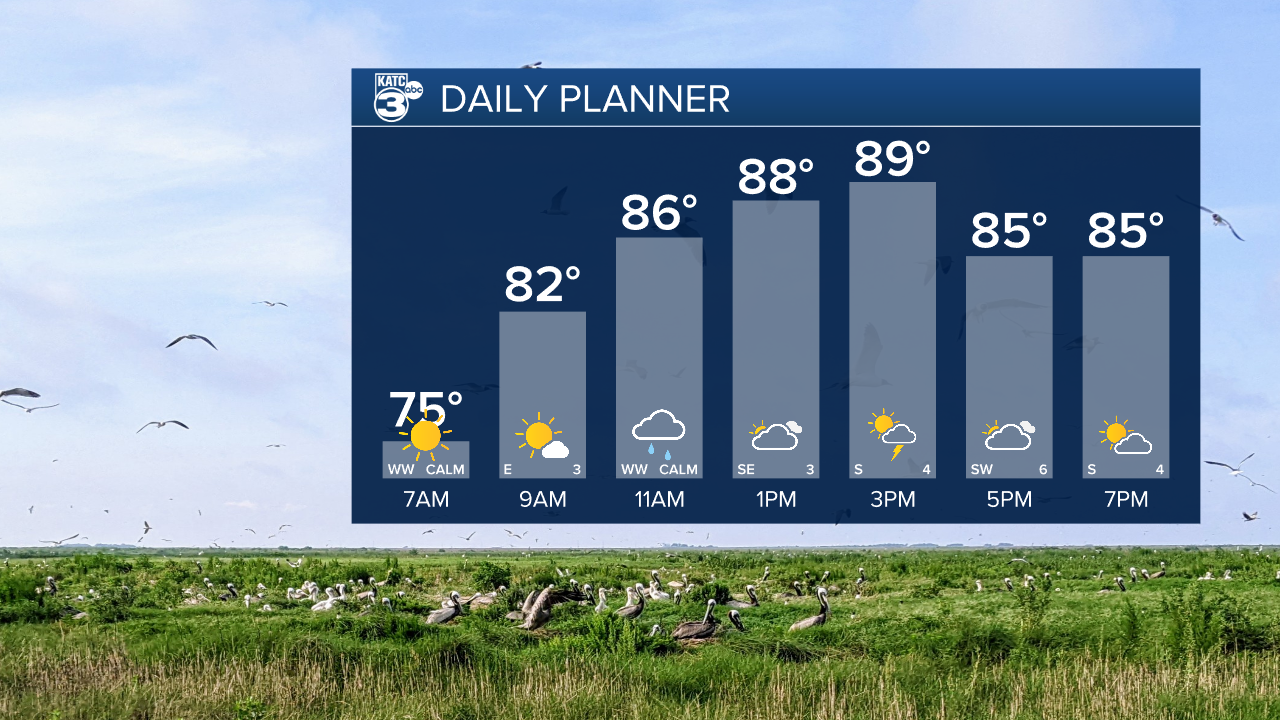 Daniel Day Planner.png