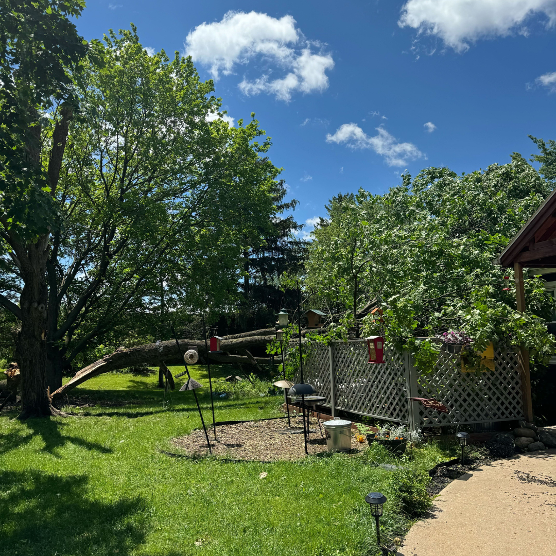 Storm damage in Milton