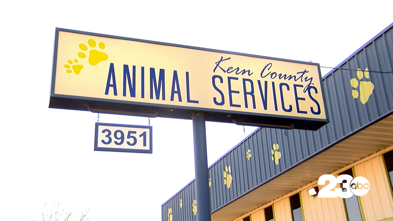 Kern County Animal Services (FILE)