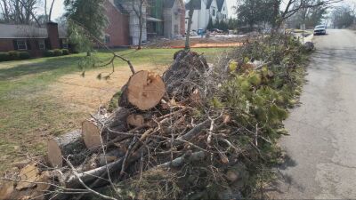 Tree piles after ice storm
