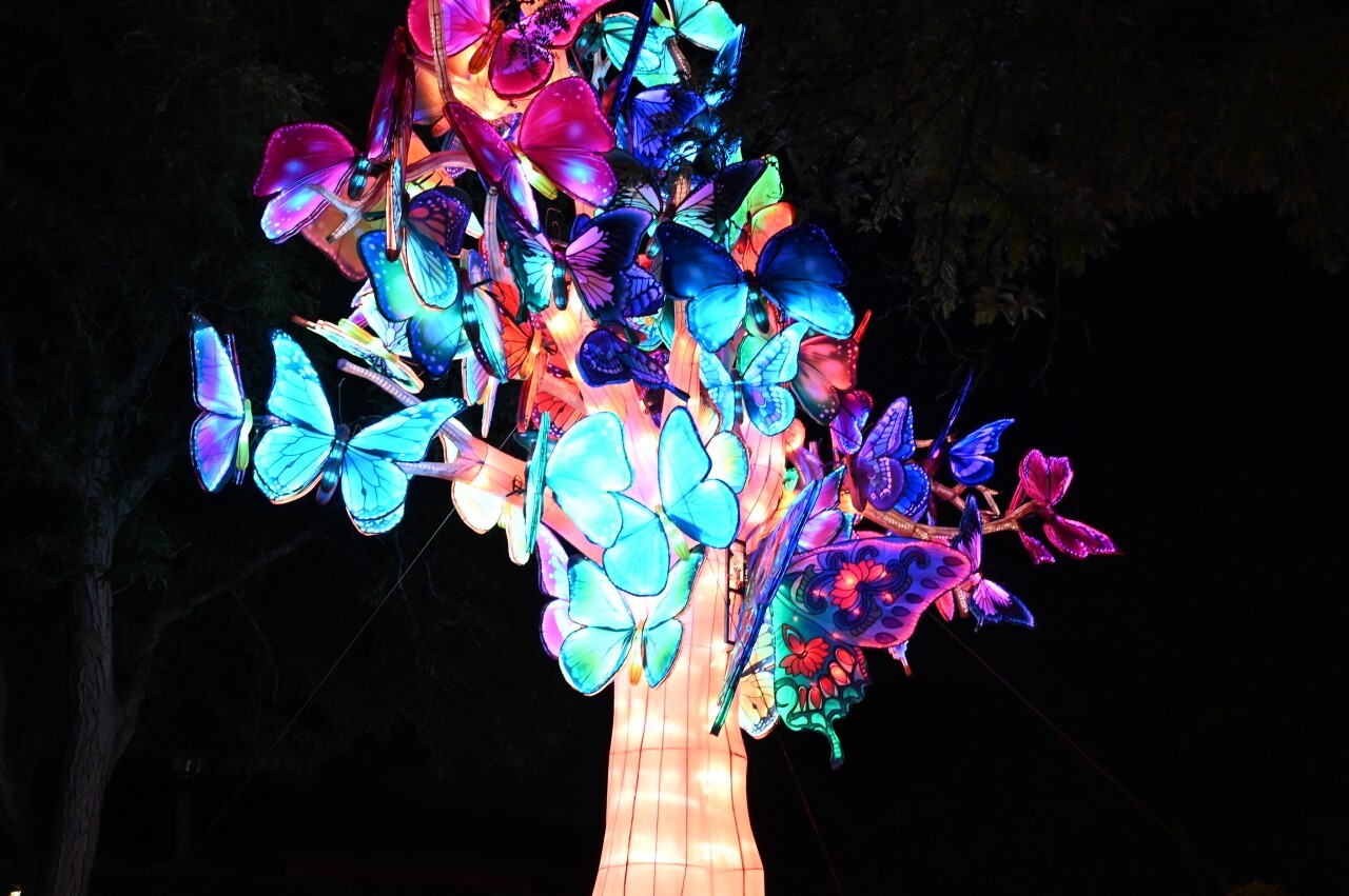 The Asian Lantern Festival at the Cleveland Metroparks Zoo.