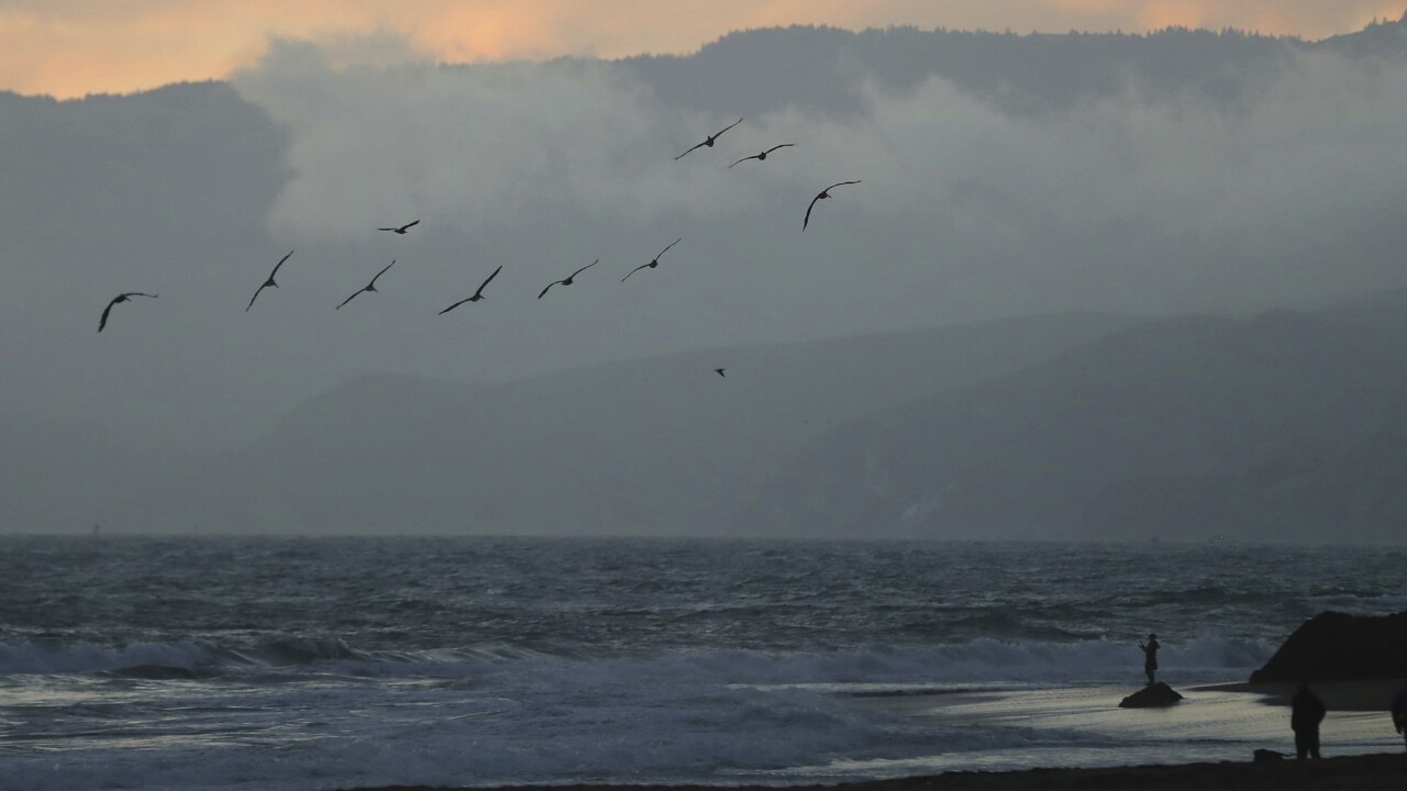 California Pacific Tsunami