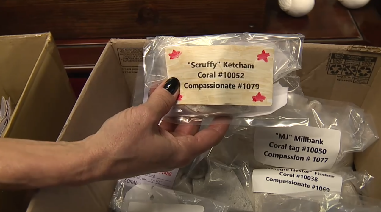 Third-party company leaves animal remains at pet cremation service