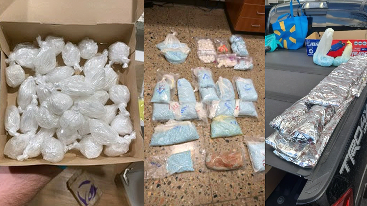 drug bust.png