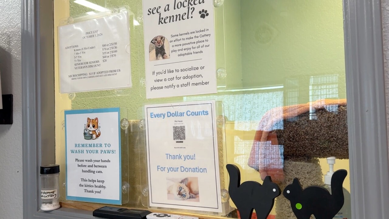 Inside Pet Haven