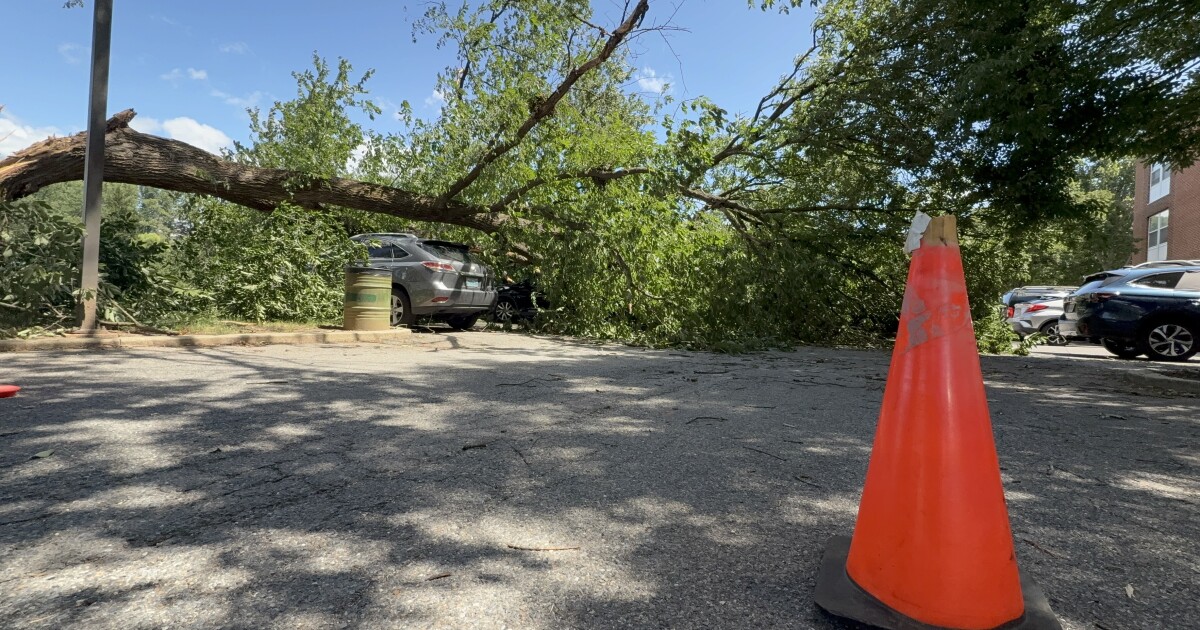 Tree falls on cars at senior center