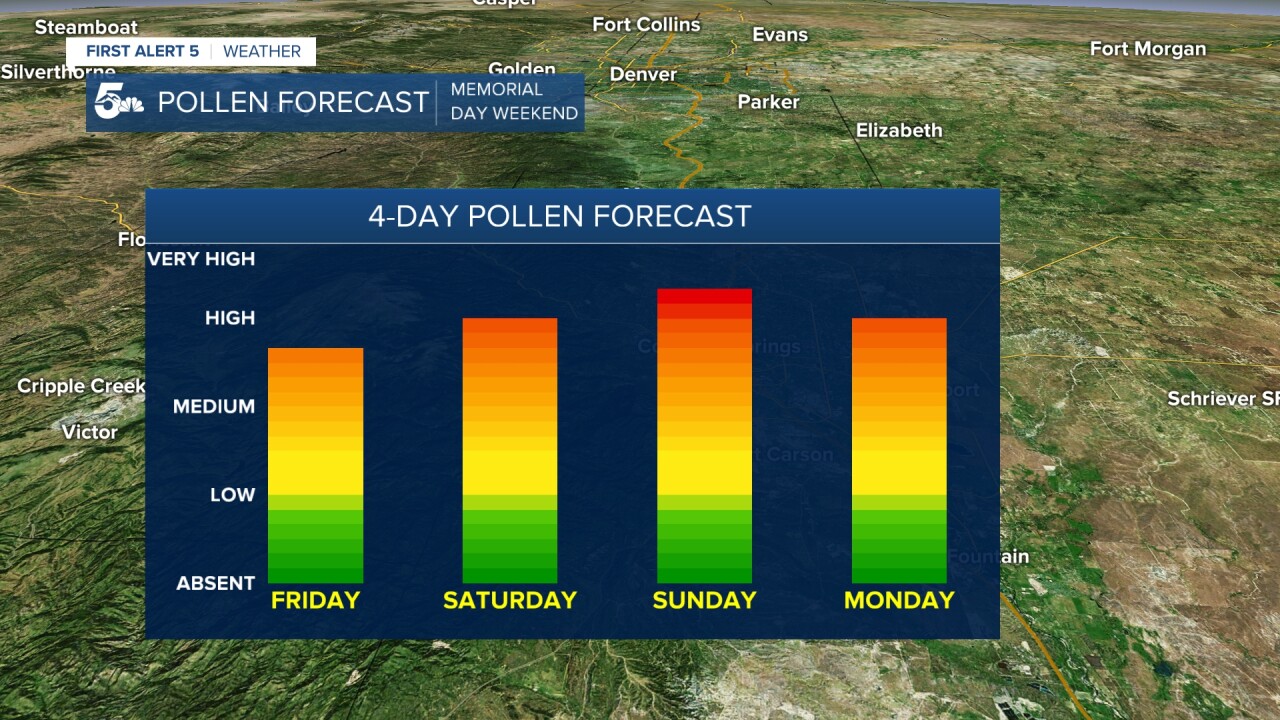 Pollen Forecast for Colorado Springs on Memorial Day Weekend 2024