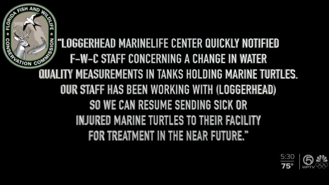 FWC statement on Loggerhead Marinelife Center, Jan. 7, 2022