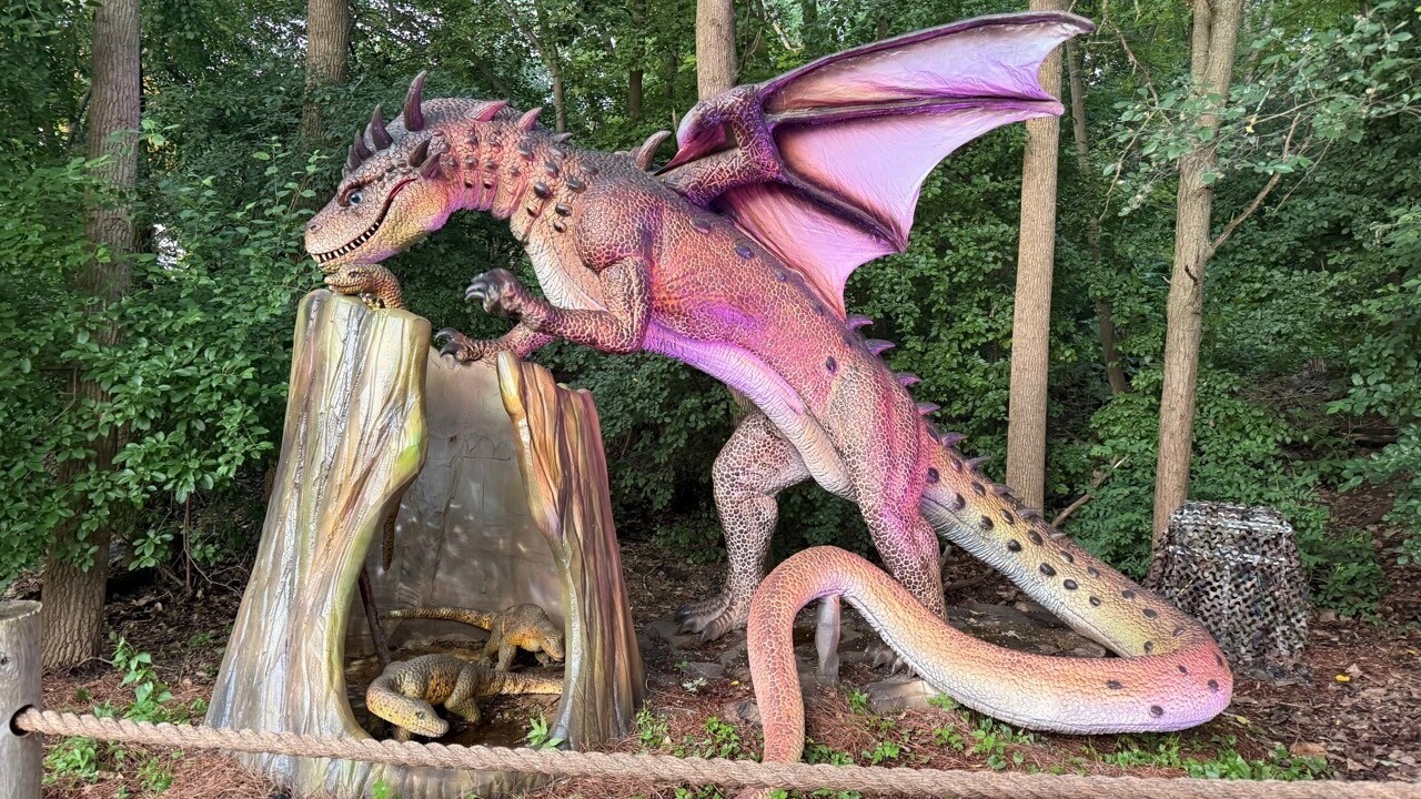 Dragon Forest 2.jpg