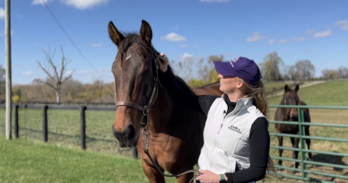 Breeders' Cup participant hails from Bourbon Co., but is this mom's year? - Vimarsana News