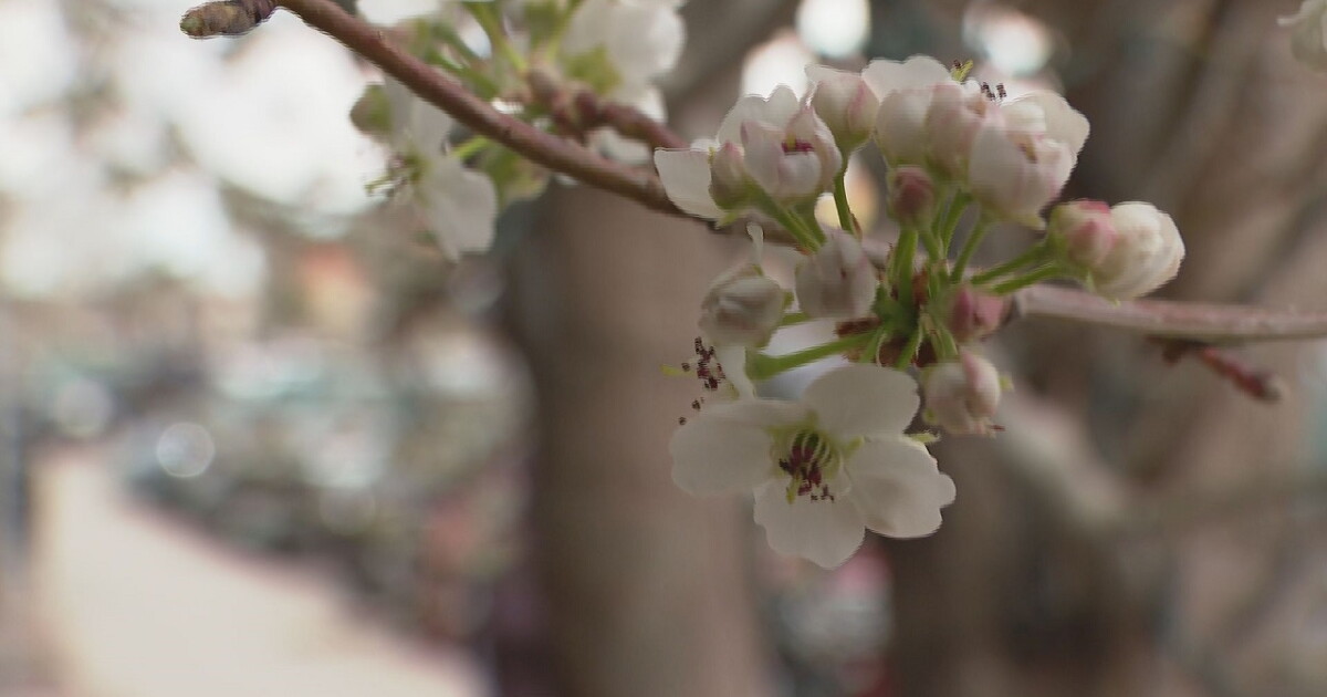 Fun-filled events happening across Colorado: May 3 to May 5 - Vimarsana News