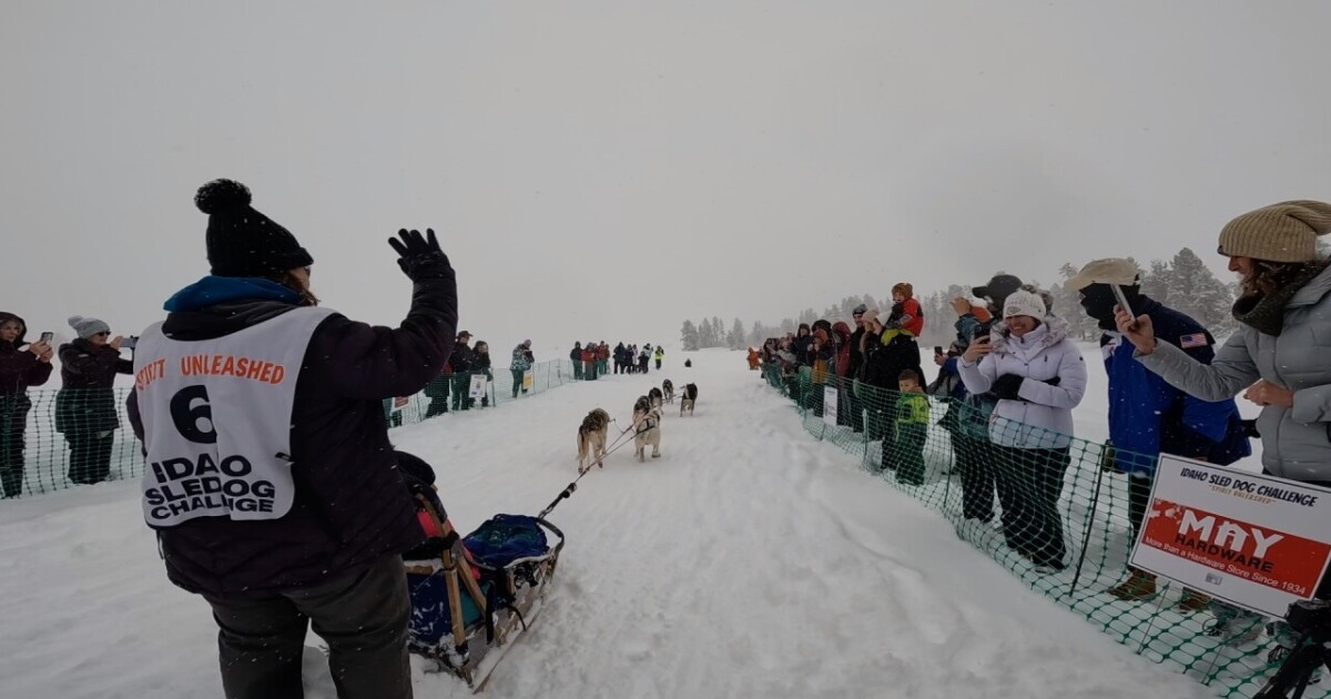 "Safety is paramount": Idaho Sled Dog Challenge cancels remainder of events due to avalanche risks