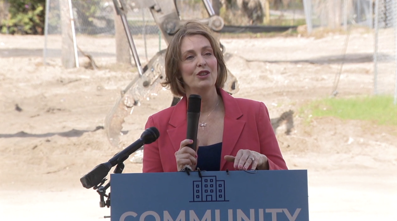 New congressional map turns Kathy Castor’s longtime seat into a competitive race3.png