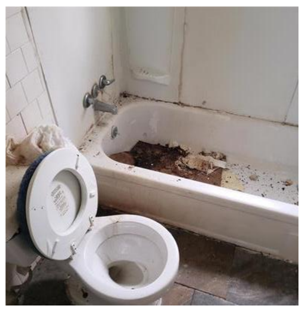 Non-working toilet, WAZ Brothers