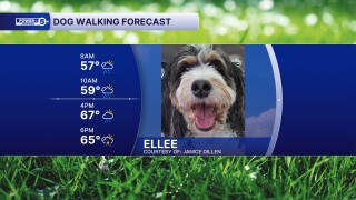 Ellee