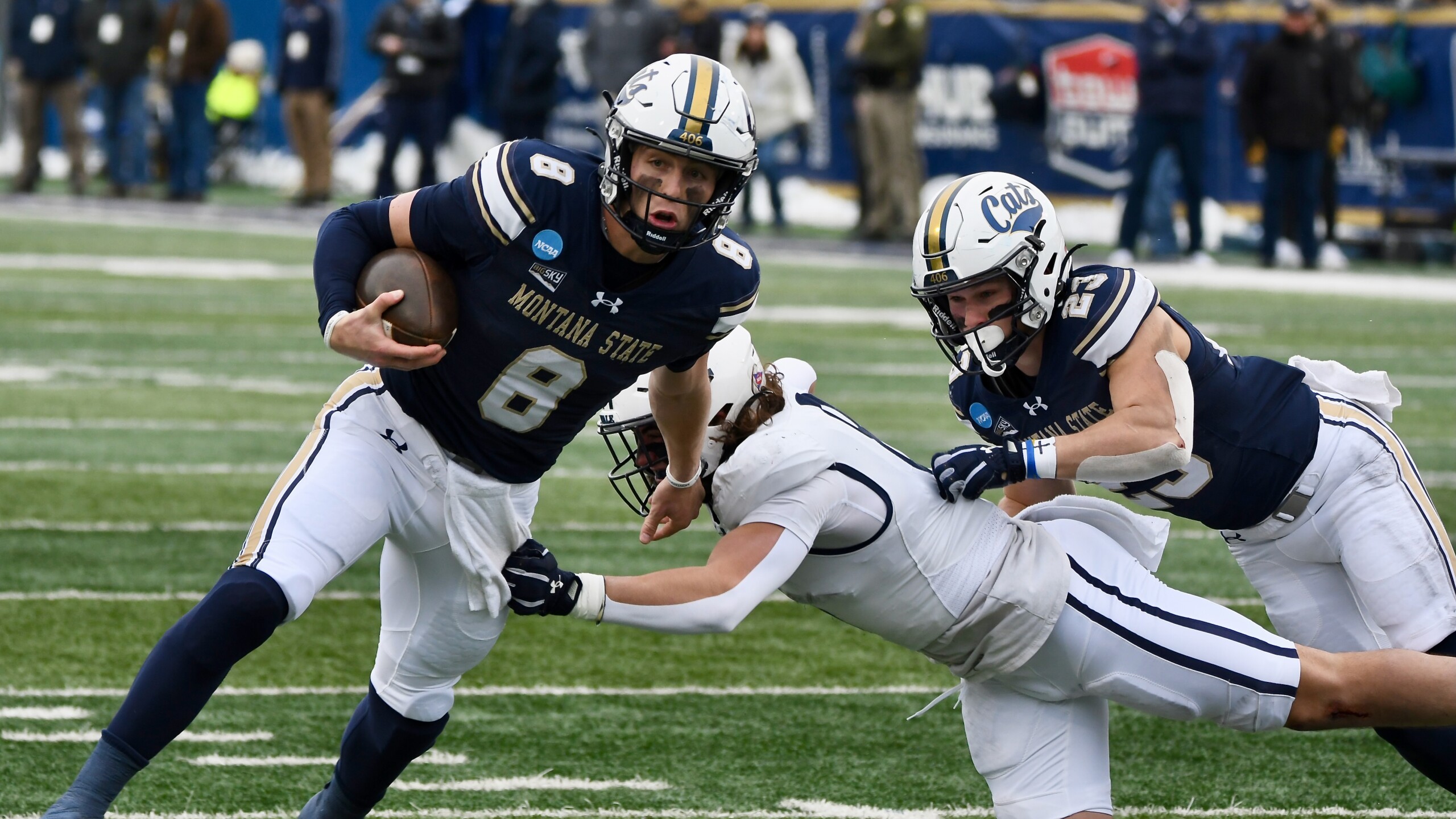 Montana State vs. Yale