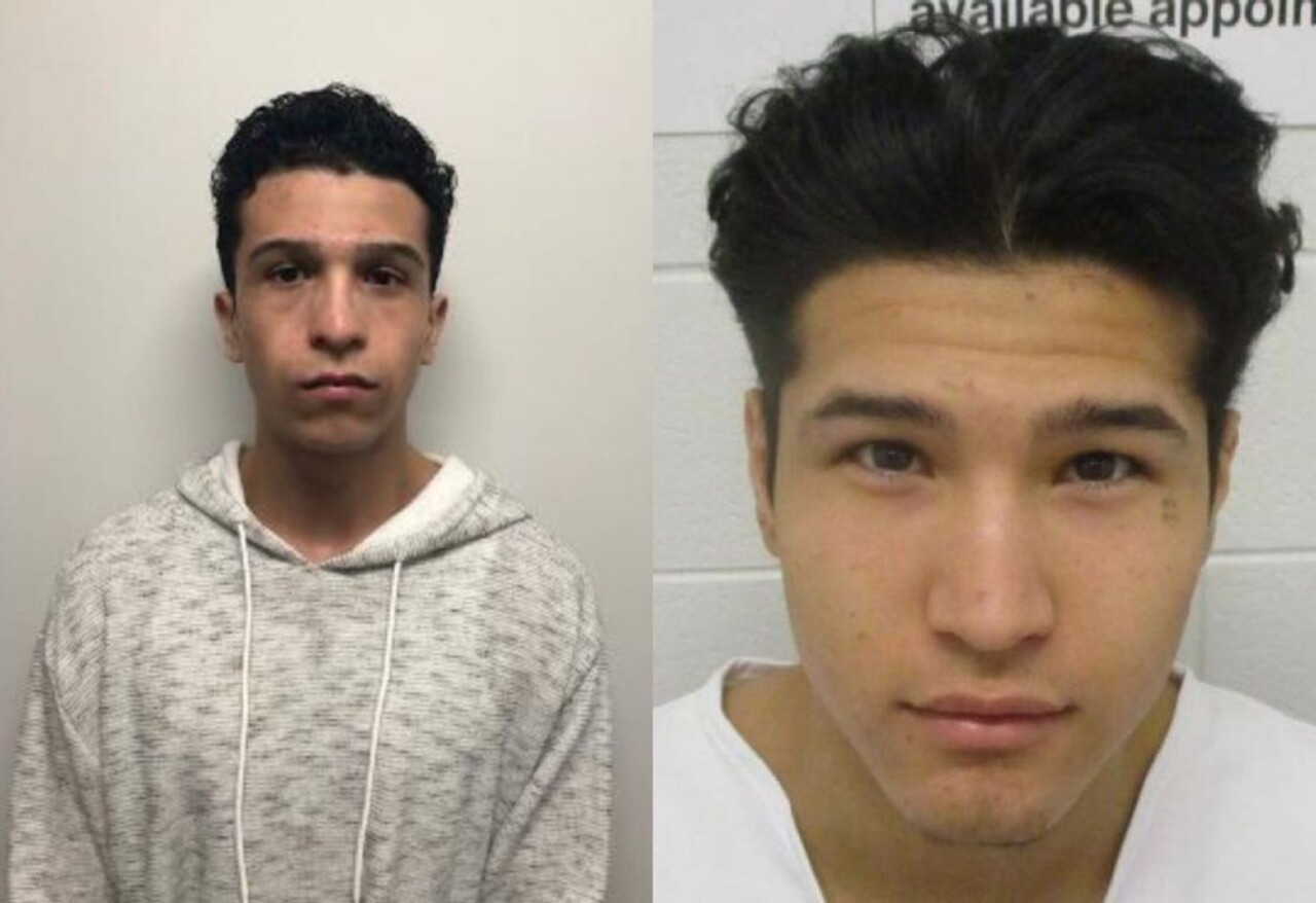 Image - 2022-06-14T210431.560.jpg