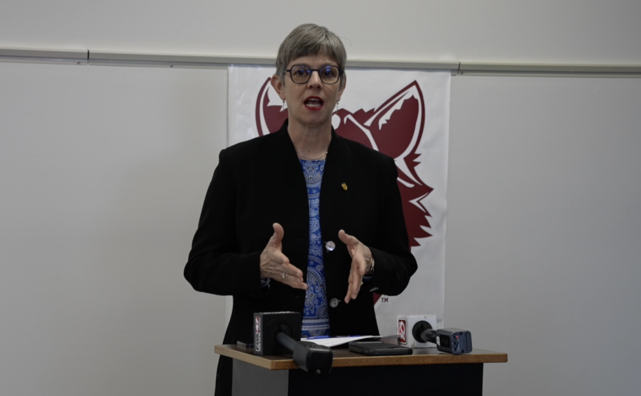 Representative Julie Brixie (D) speaks at press conference on Thursday. She says her own children went to Okemos schools.