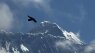 6 people killed in tourist helicopter crash near Mount Everest