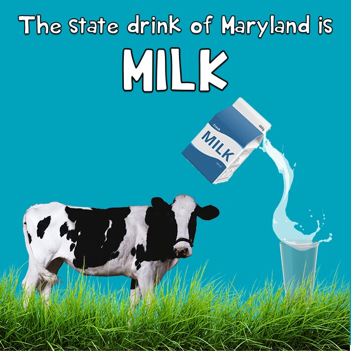 Milk.jpg