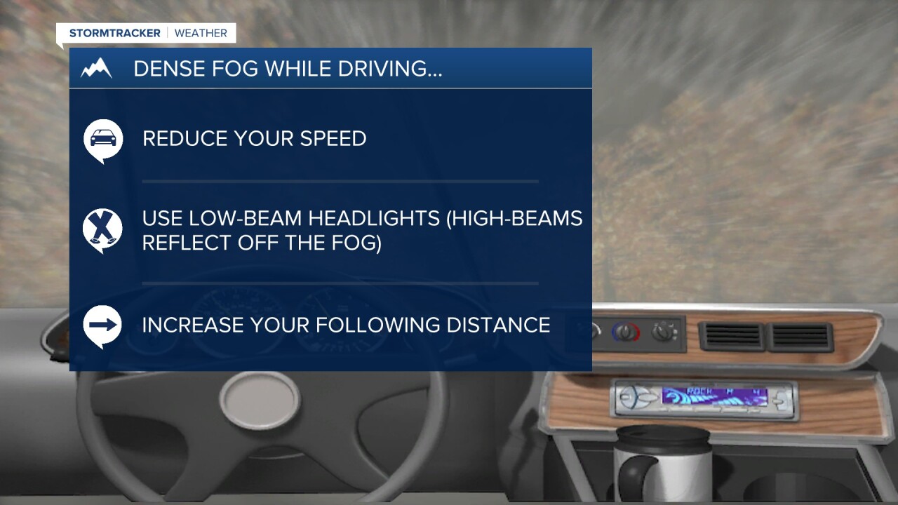 Fog Driving