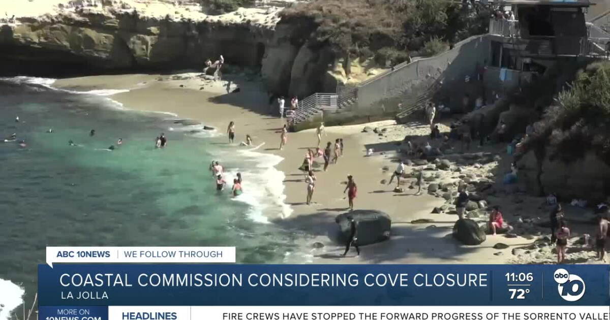 Should the City of San Diego close La Jolla Cove to protect wildlife?