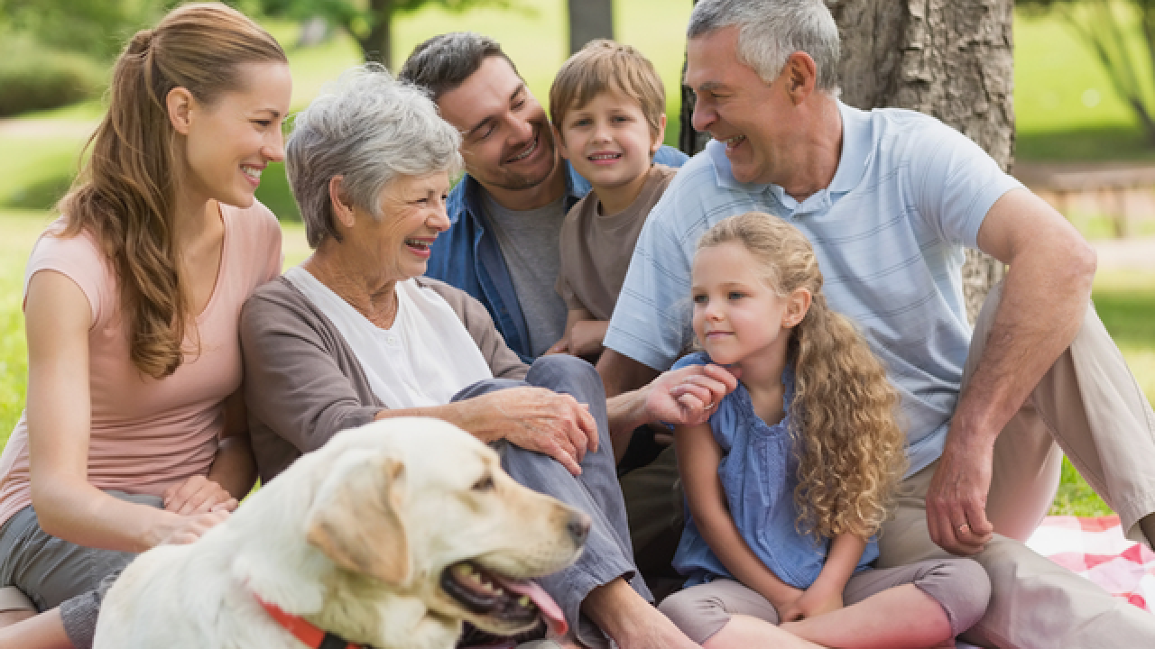 Family closeness more important than friendships when it comes to staying alive for older folks