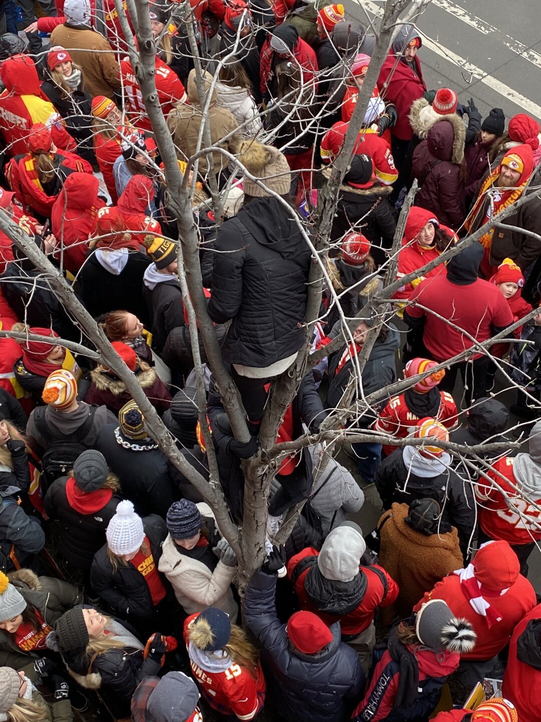 Climbing trees.jpeg