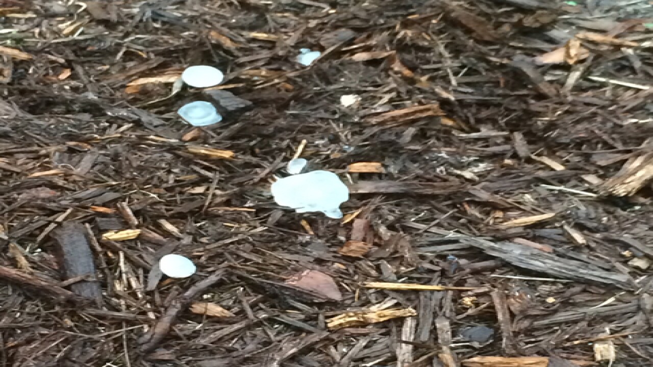 PHOTOS: Hail storm in Okeechobee, Treasure Coast