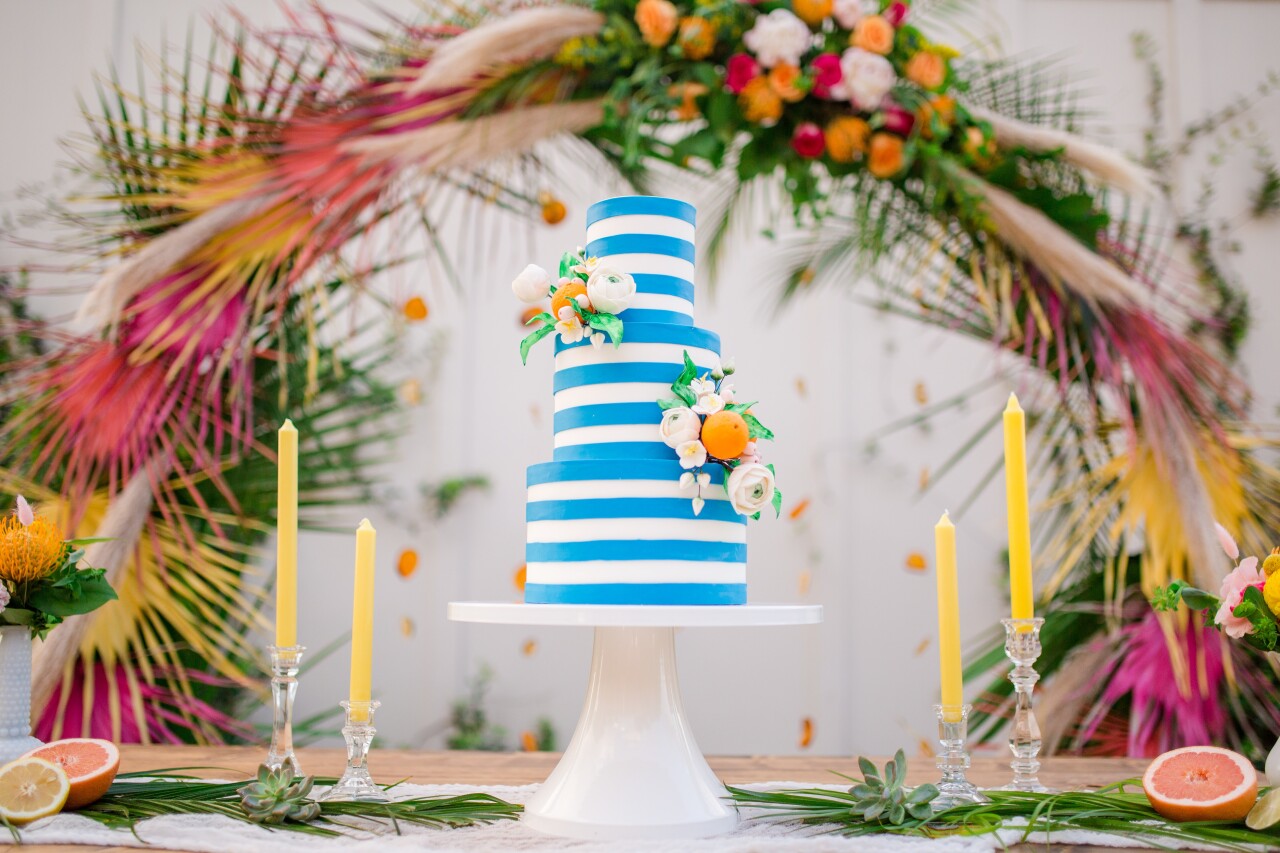 Tampa Bay Cake Company 3.jpg