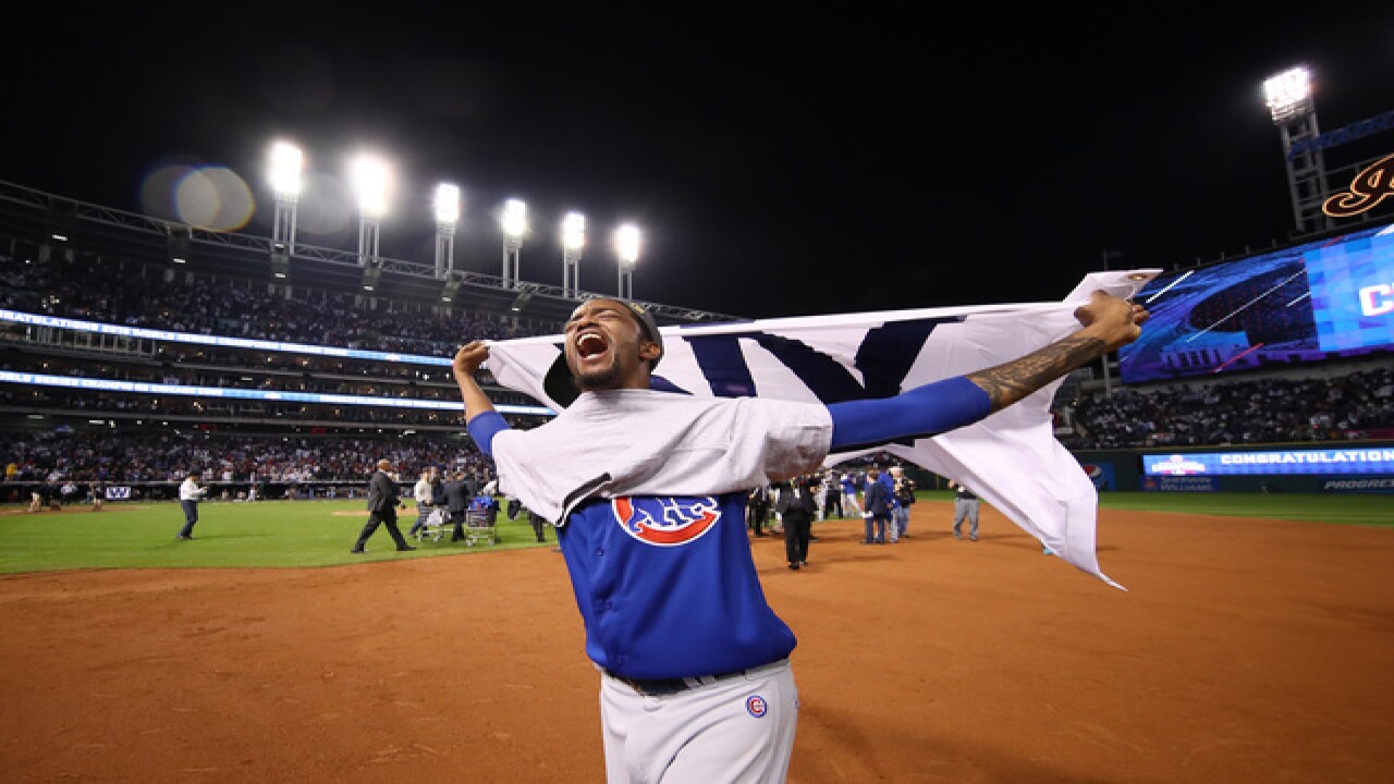 PHOTOS: Joy, heartbreak and Bill Murray