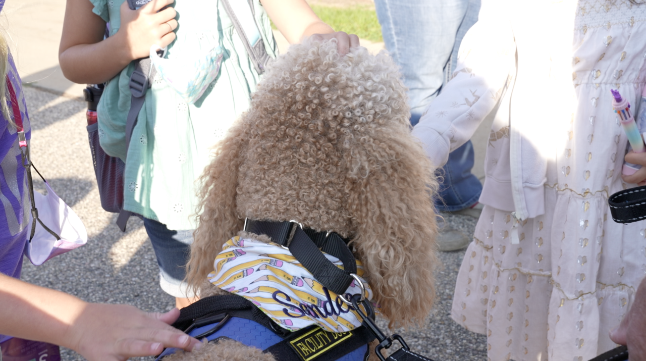 Sandee is getting a lot of attention from the students at Wacousta Elementary School.