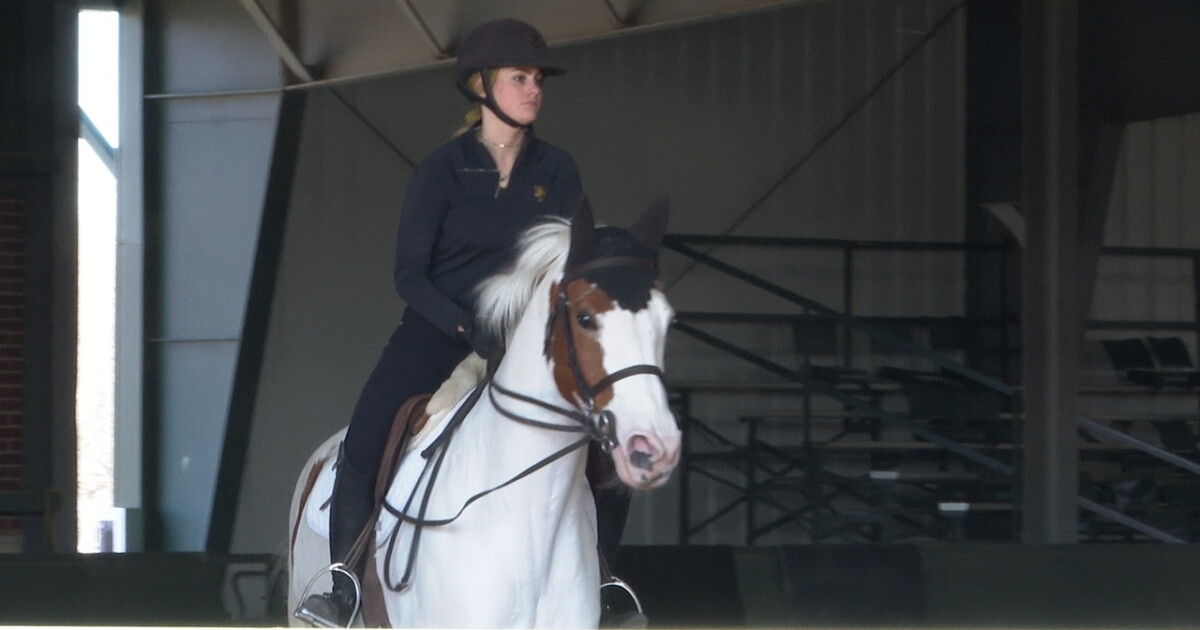 3 riders with Baylor Equestrian earn Big 12 honors - Vimarsana News
