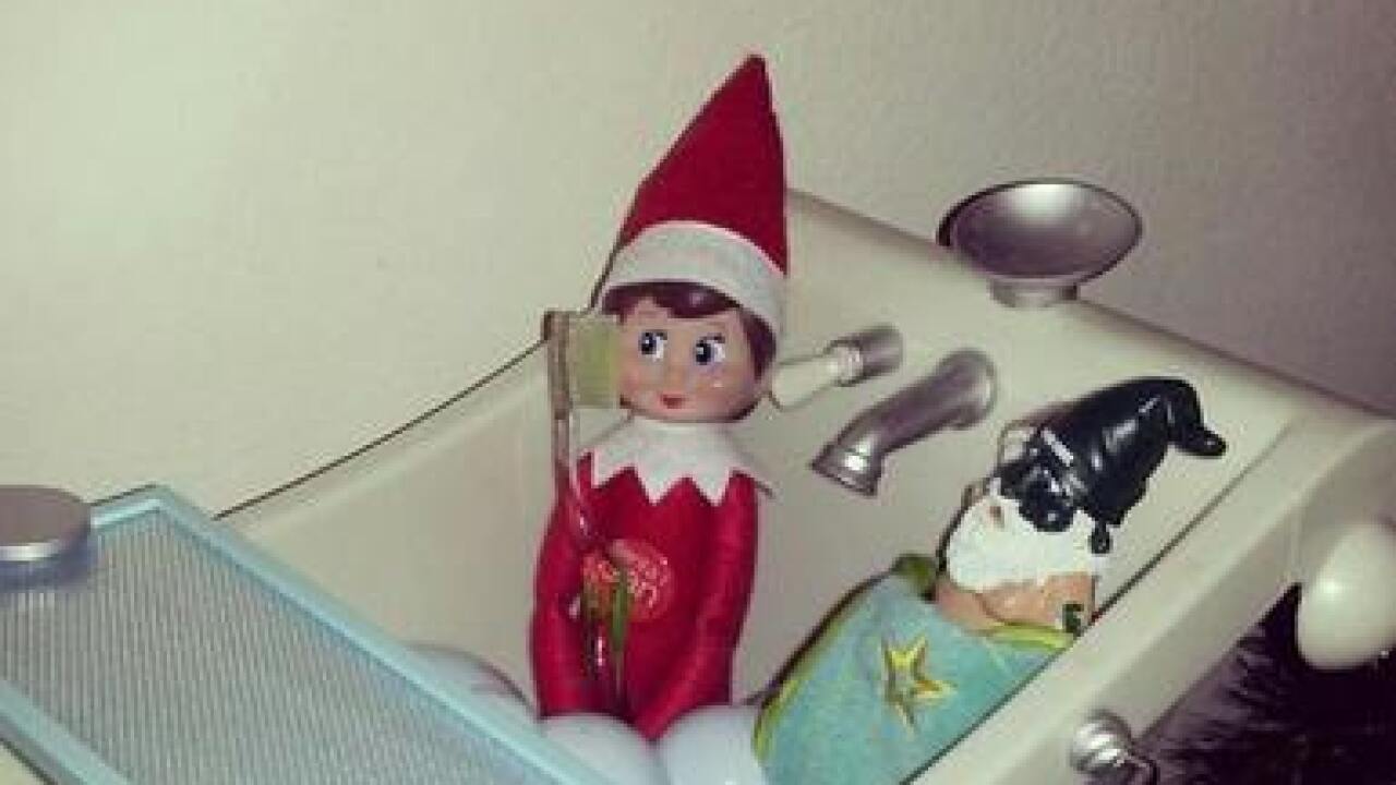 2016 Elf on the Shelf Photos & Ideas