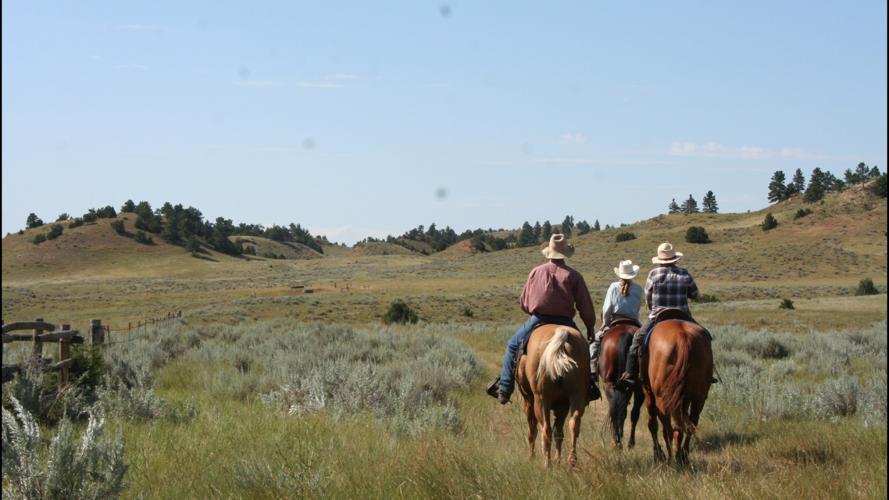 Rikki Held grew up on a ranch with her father and twin brother
