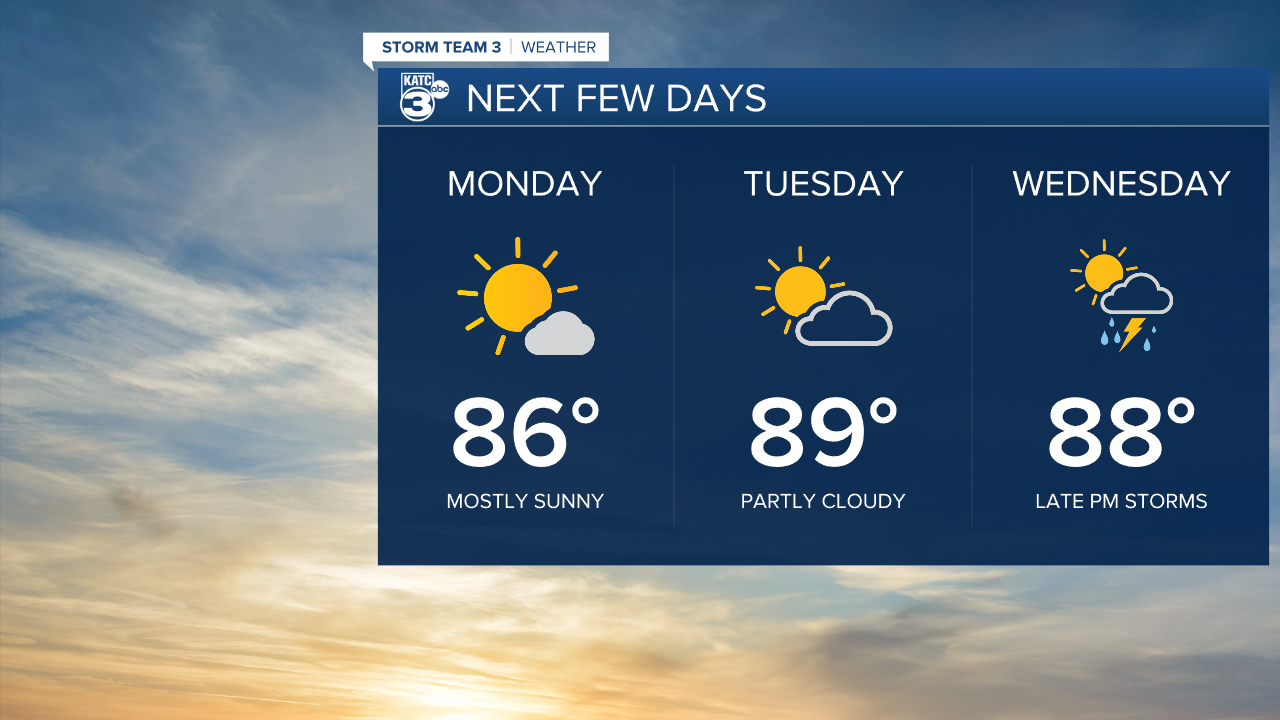 Vert Planner 3 - Daypart.png