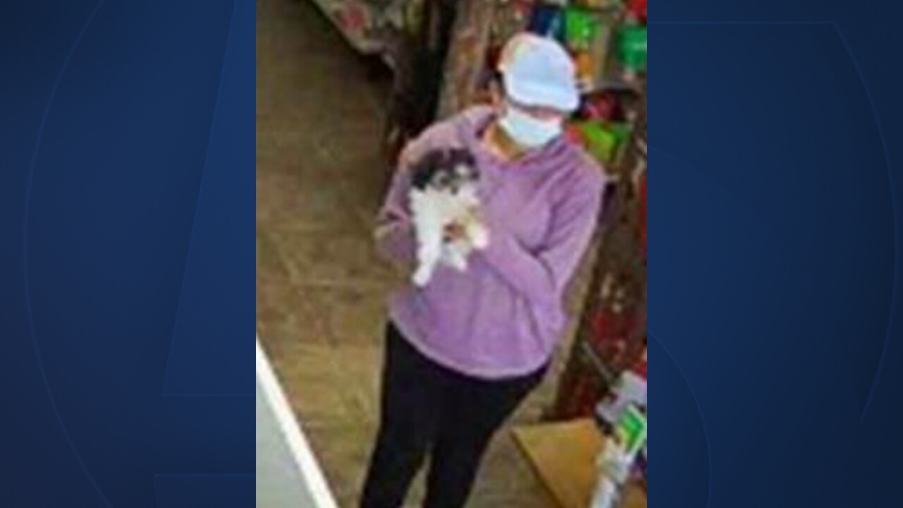 Surveillance picture of puppy theft from Wet Kisses Pet Company in Palm Beach County on July 23, 2022.jpg